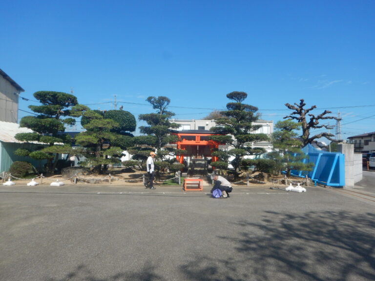 剪定
